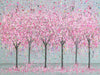 Cherry Blossom Love ORIGINAL ART WORK