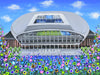 EFC Bramley Moore Dock Stadium ORIGINAL ART WORK