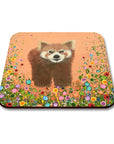 Zoo Animals Coaster Set